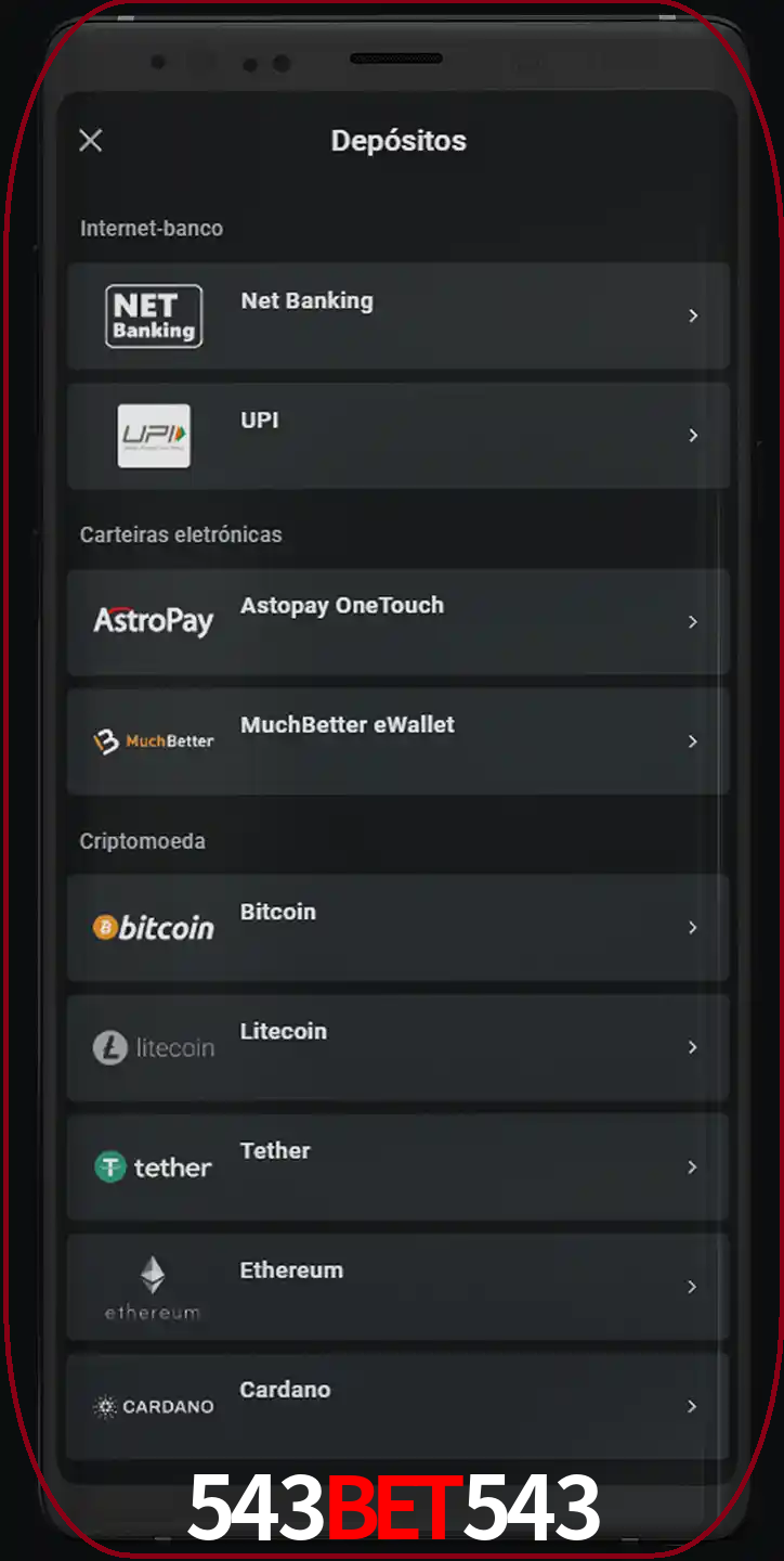 Você pode usar métodos alternativos de depósito.